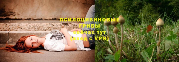 первитин Алексеевка