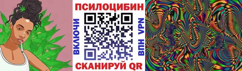 Купить где  Саянск  Галлюциногенные грибы Cubensis 
